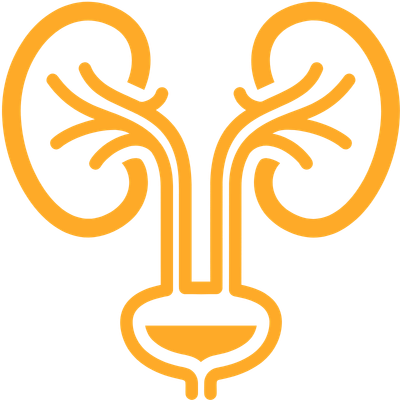 Urology